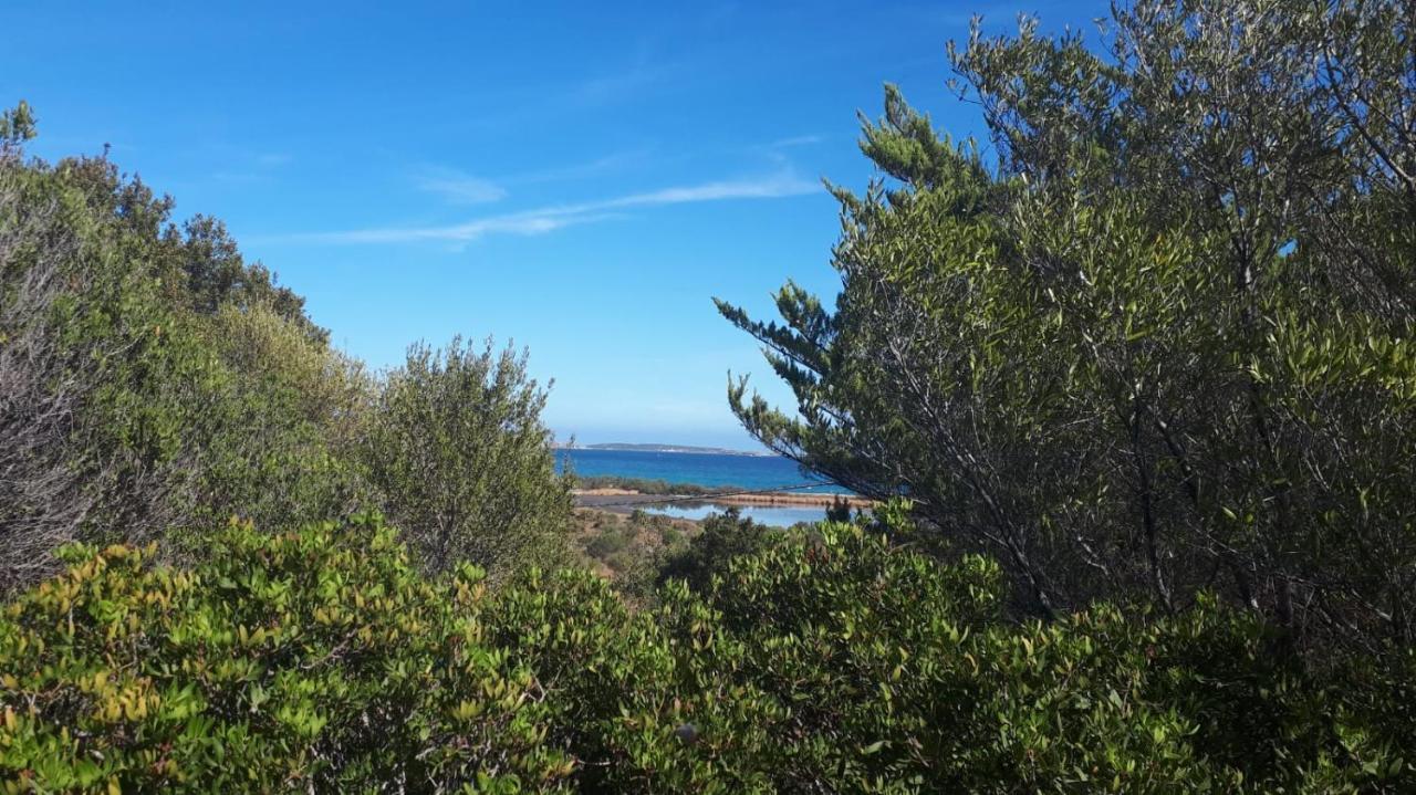Apartment A Due Passi Dal Mare